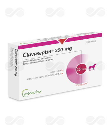 CLAVASEPTIN 250 MG 10 COMPRIMIDOS