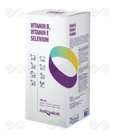VITAMIN B1-E-SELENIUM 100 ML