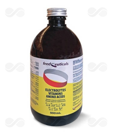 ELECTROLYTES 500 ML