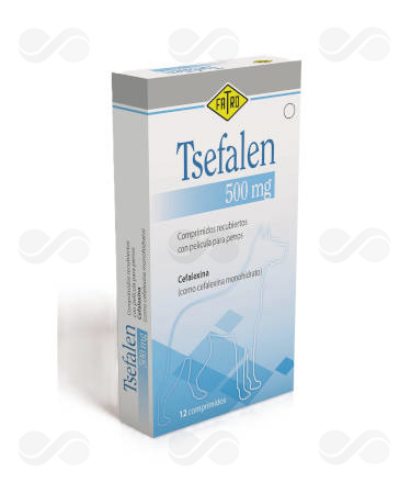 TSEFALEN 500 MG 12 COMP PERRO