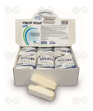 YMCP VITALL BOLUS 220 GR X 12 UDS