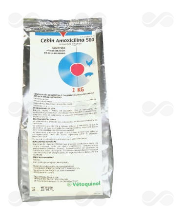 CEBIN AMOXICILINA 500 1 KG.