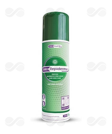 INTRA REPIDERMA 250 ML