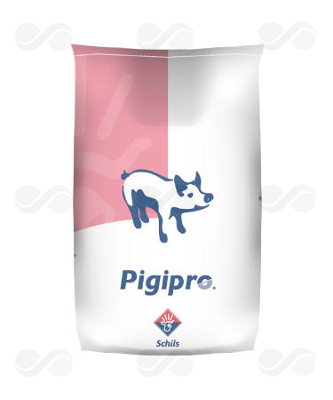 PIGIPRO 1 MILK CARE  (25 KG) 1 KG