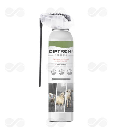 DIPTRON ARGECURE 250 ML