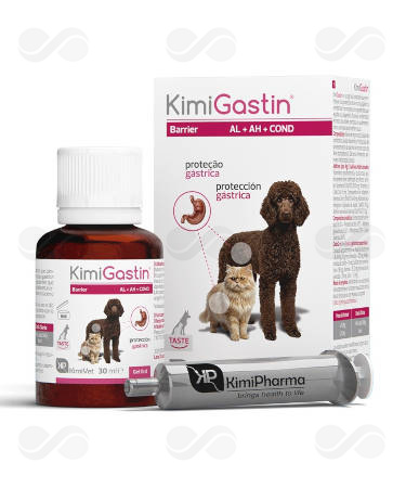 KIMIGASTIN GEL ORAL 30 ML