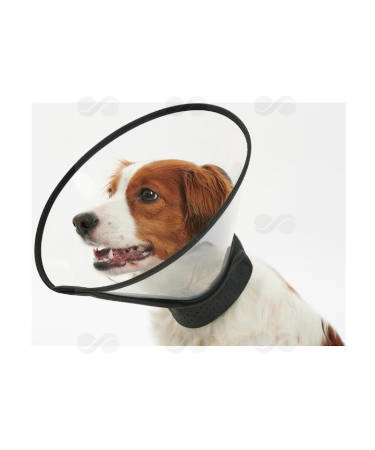 COLLAR BUSTER COMPLETE 12,5 CM 5 UDS