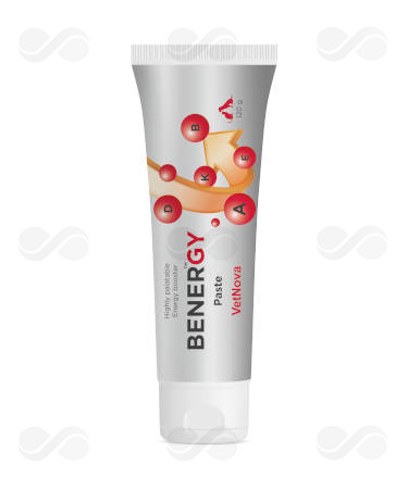 BENER GY PASTE 120 GR