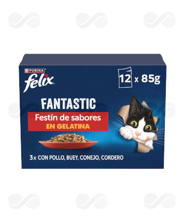 FELIX FANTASTIC CARNES GELATINA 12x85 GR