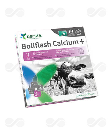 BOLIFLASH CALCIUM PLUS 12 BOL